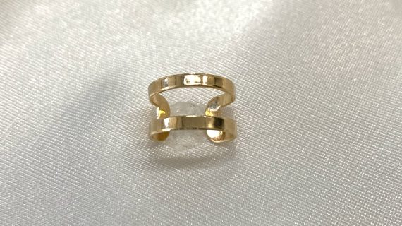 Double Line Earring
