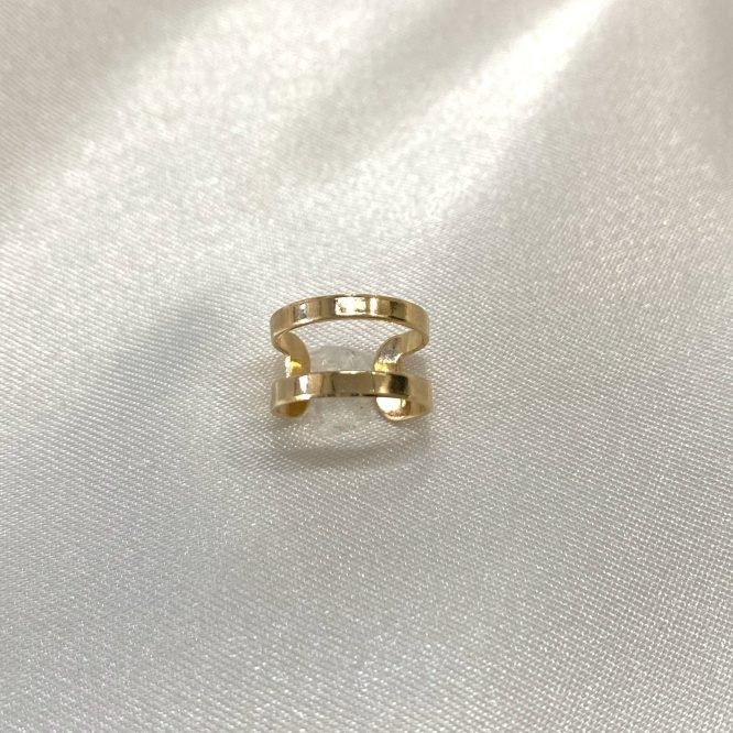 Double Line Earring