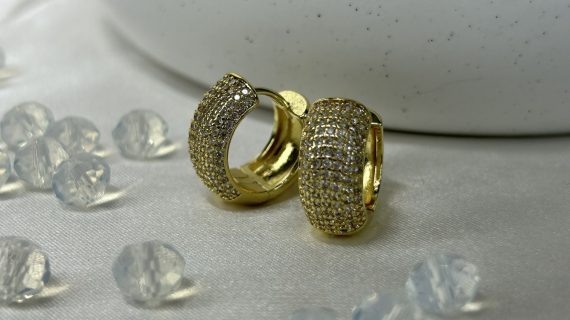 Karina Earring