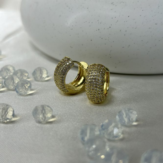 Karina Earring